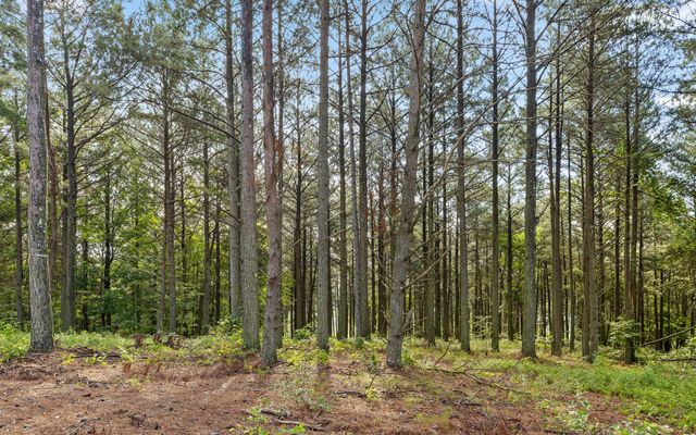 Lot 2142 Top Shelf Street, Guild, TN 37340