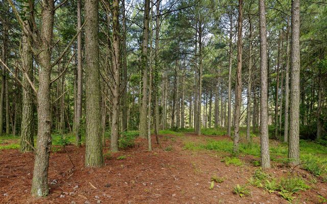Lot 2142 Top Shelf Street, Guild, TN 37340