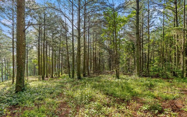 Lot 2142 Top Shelf Street, Guild, TN 37340