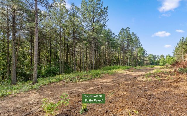 Lot 2142 Top Shelf Street, Guild, TN 37340