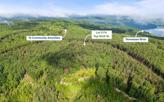 Lot 2142 Top Shelf Street, Guild, TN 37340