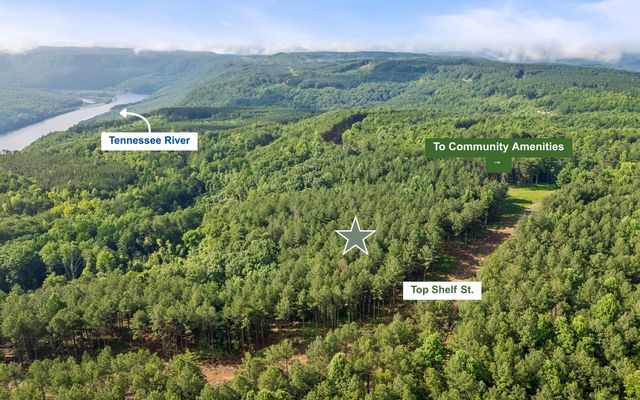 Lot 2142 Top Shelf Street, Guild, TN 37340