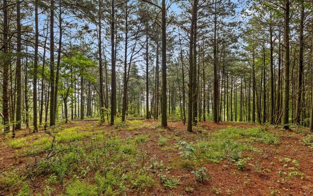 Lot 2142 Top Shelf Street, Guild, TN 37340