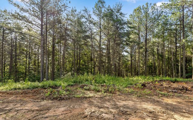 Lot 2142 Top Shelf Street, Guild, TN 37340