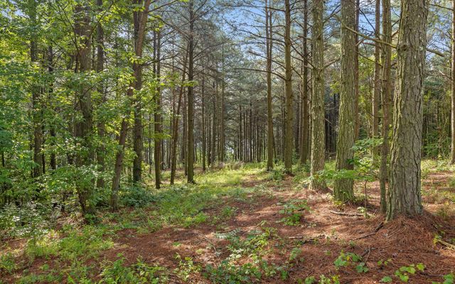 Lot 2142 Top Shelf Street, Guild, TN 37340