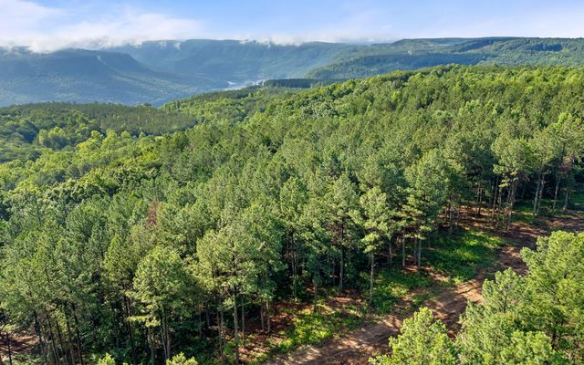 Lot 2142 Top Shelf Street, Guild, TN 37340