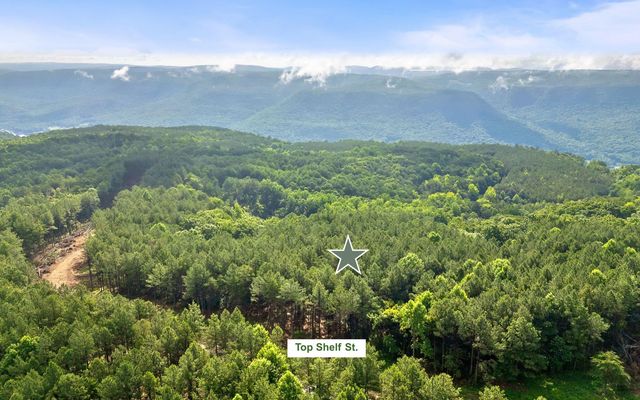 Lot 2142 Top Shelf Street, Guild, TN 37340