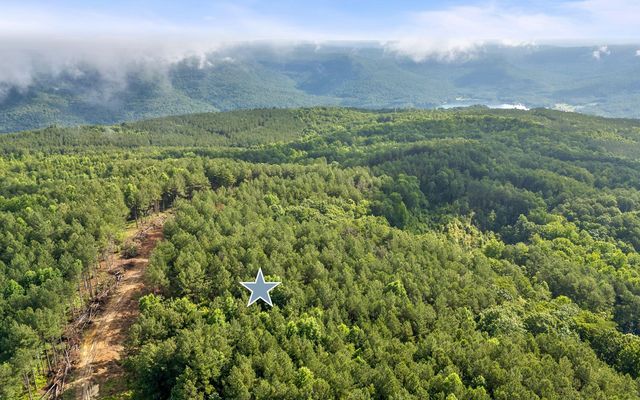 Lot 2142 Top Shelf Street, Guild, TN 37340