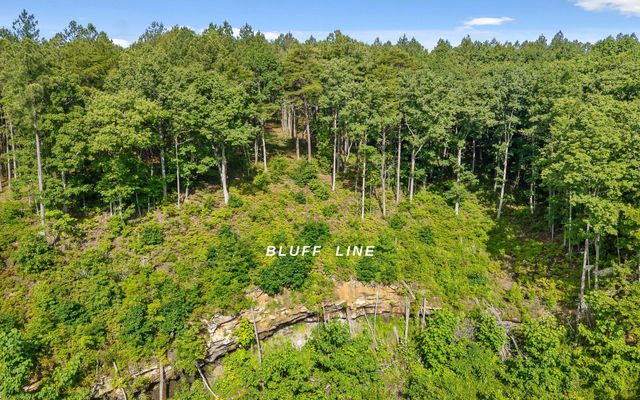 Lot 2142 Top Shelf Street, Guild, TN 37340