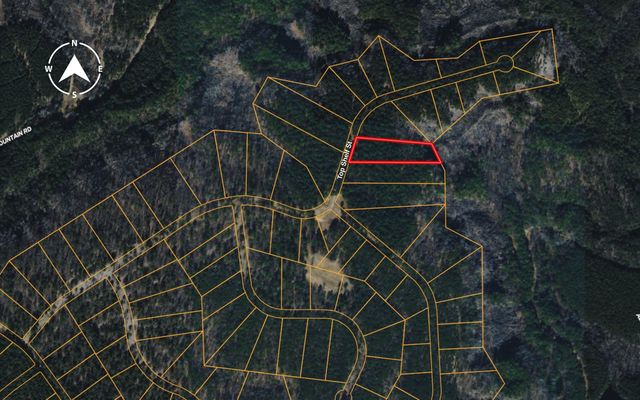 Lot 2142 Top Shelf Street, Guild, TN 37340