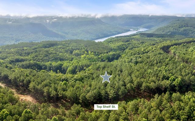 Lot 2142 Top Shelf Street, Guild, TN 37340