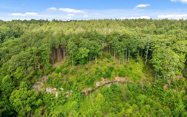 Lot 2142 Top Shelf Street, Guild, TN 37340