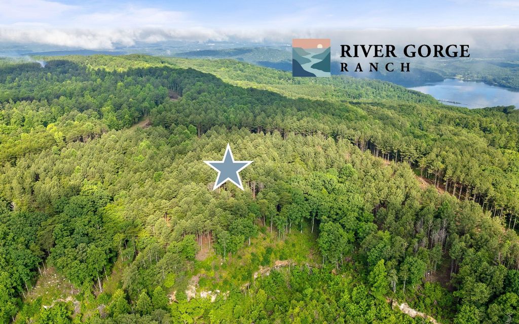 Lot 2142 Top Shelf Street, Guild, TN 37340