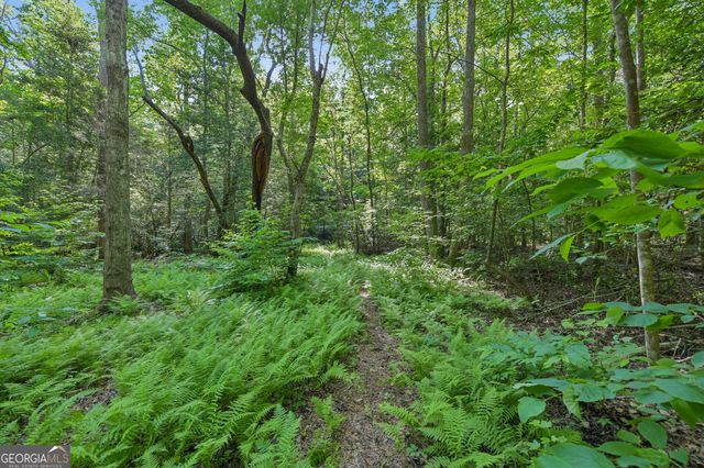 57 Ashleywood Drive, Dahlonega, GA 30533
