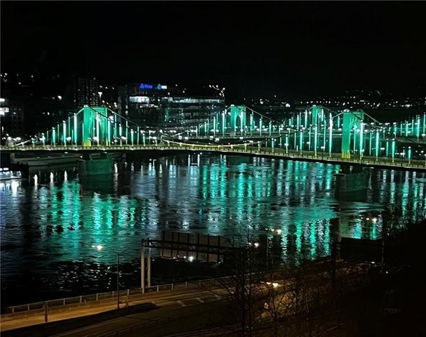 320 Fort Duquesne Blvd 7M, Downtown Pgh, PA 15222