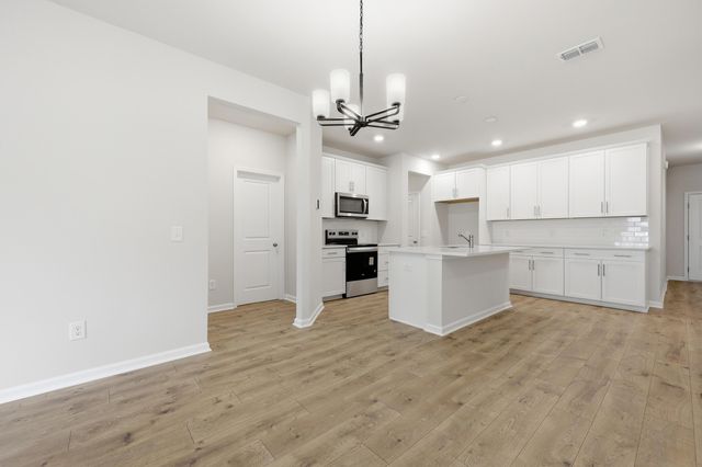 224 Twinleaf Court, Charleston, SC 29414