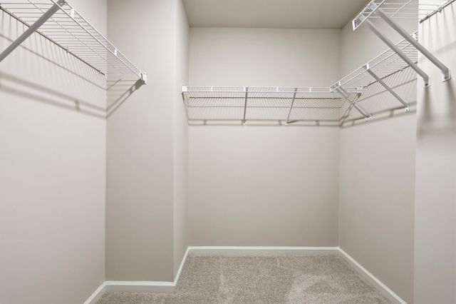 224 Twinleaf Court, Charleston, SC 29414