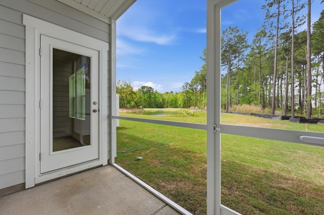 224 Twinleaf Court, Charleston, SC 29414