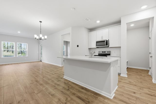 224 Twinleaf Court, Charleston, SC 29414