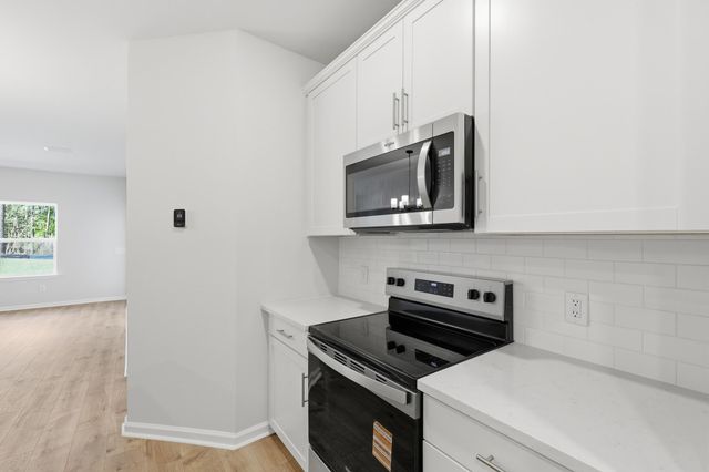 224 Twinleaf Court, Charleston, SC 29414