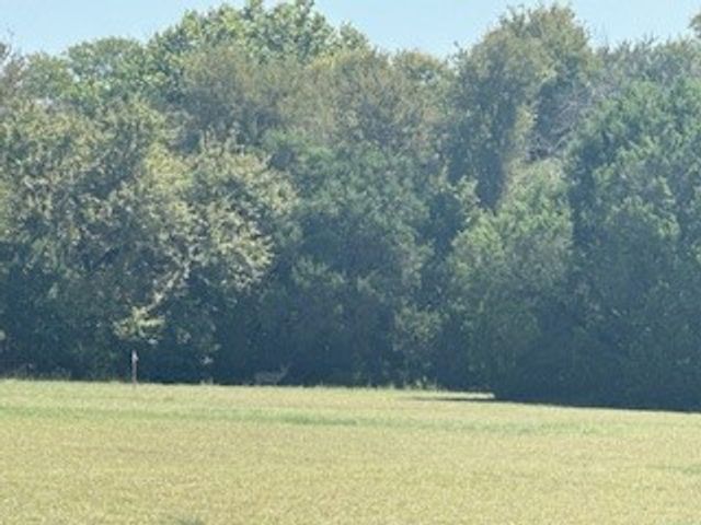 1017 White Bluff Drive, Whitney, TX 76692