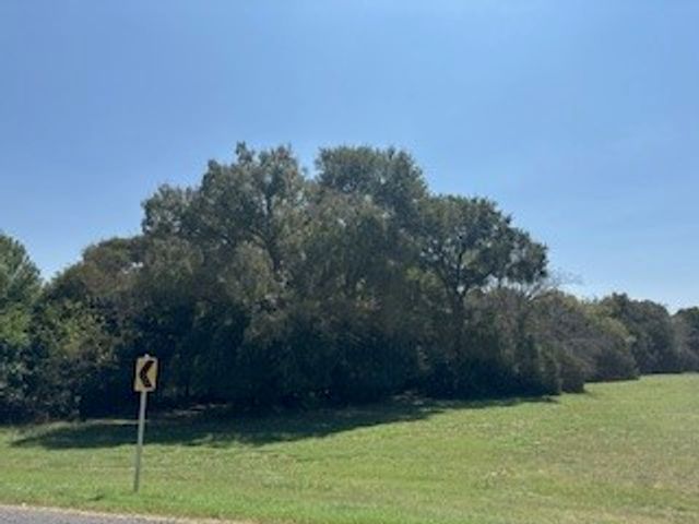 1017 White Bluff Drive, Whitney, TX 76692