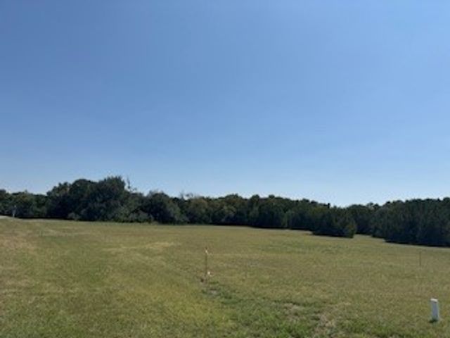 1017 White Bluff Drive, Whitney, TX 76692