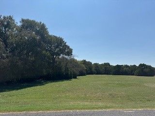 1017 White Bluff Drive, Whitney, TX 76692