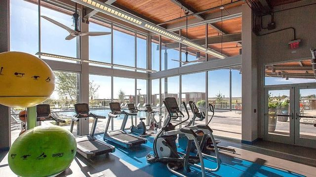 4151 Pepper Grass Lane, Prosper, TX 75078