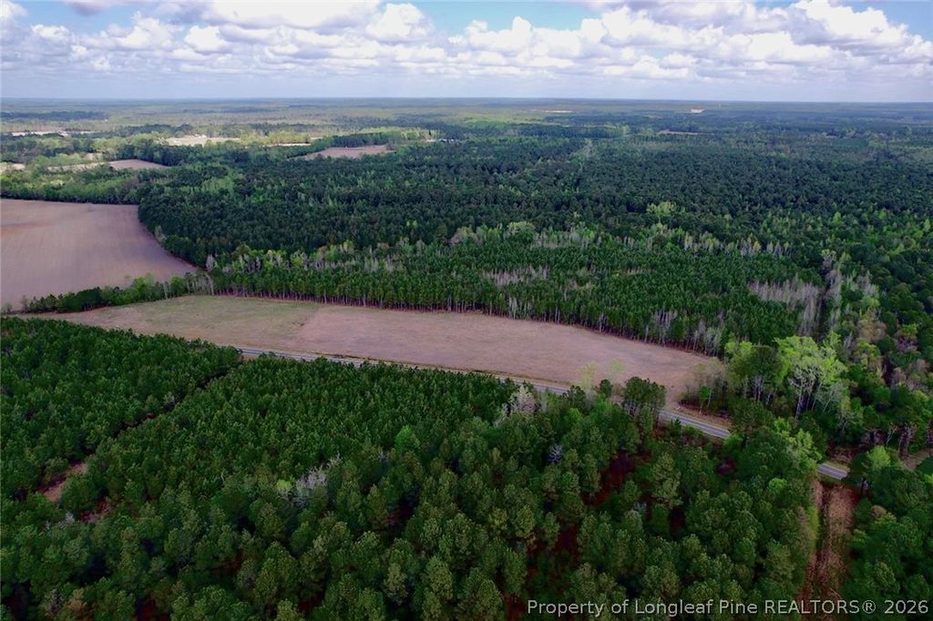3331 Bogie Island Road, Fayetteville, NC 28312 — photo 10