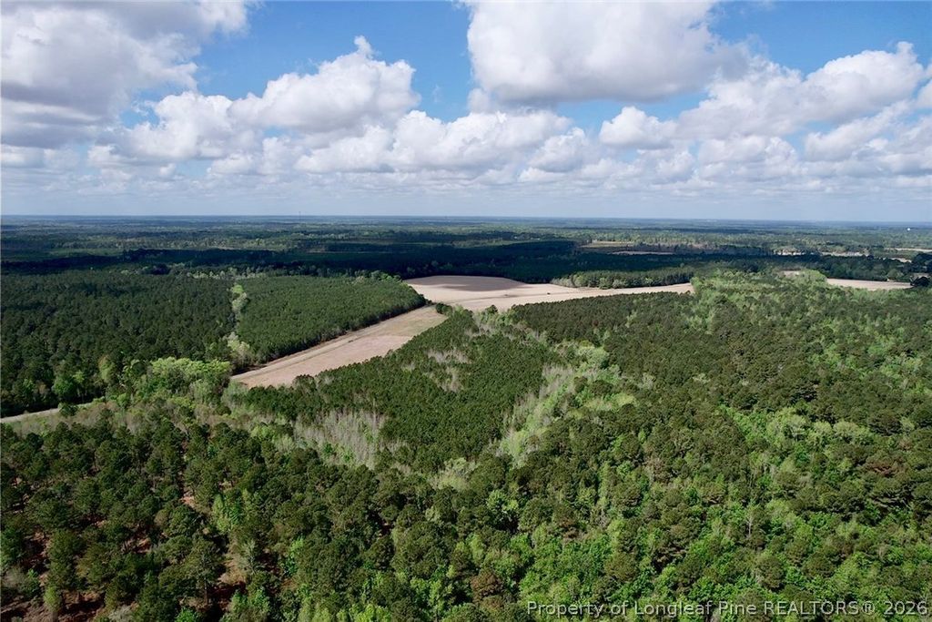 3331 Bogie Island Road, Fayetteville, NC 28312 — photo 5