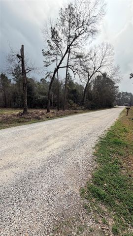 0 Dogwood Trail, Shepherd, TX 77371