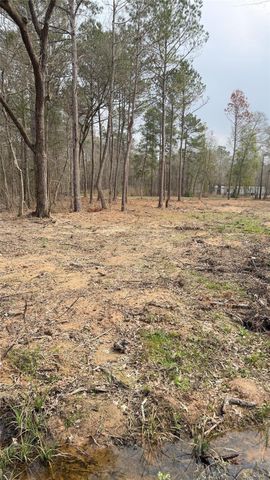 0 Dogwood Trail, Shepherd, TX 77371