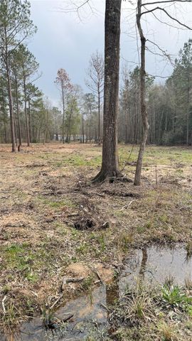 0 Dogwood Trail, Shepherd, TX 77371