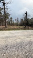 0 Dogwood Trail, Shepherd, TX 77371