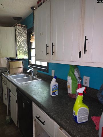 2808 Old Charleston Road, Gilbert, SC 29054