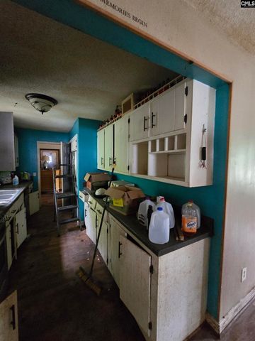 2808 Old Charleston Road, Gilbert, SC 29054