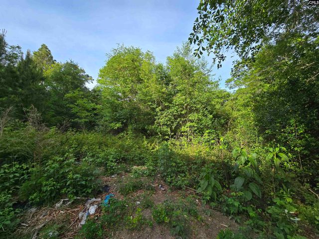 2808 Old Charleston Road, Gilbert, SC 29054