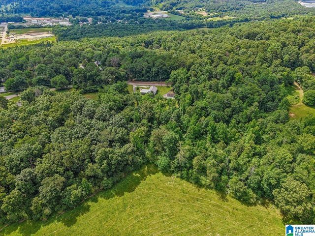 5950 RED HOLLOW ROAD, Birmingham, AL 35215