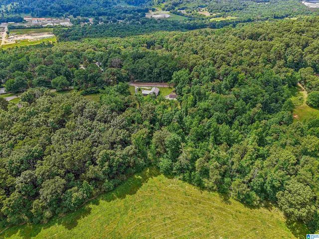 5950 RED HOLLOW ROAD, Birmingham, AL 35215