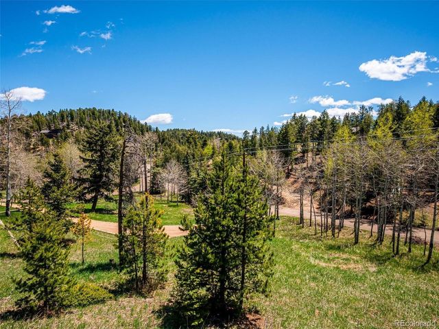 34075 Grouse Ln, Evergreen, CO 80439