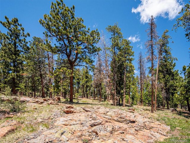 34075 Grouse Ln, Evergreen, CO 80439