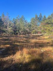 V/L 26.90A S Old 27, 26.90 Acres, Grayling, MI 49738