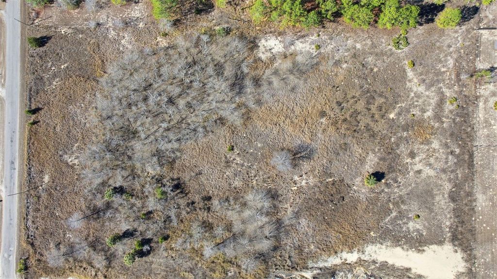 Image 24 of property listing at SWEET GUM ROAD, Brooksville, FL 34613