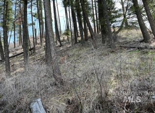 TBD State Highway 129, Anatone, WA 99401