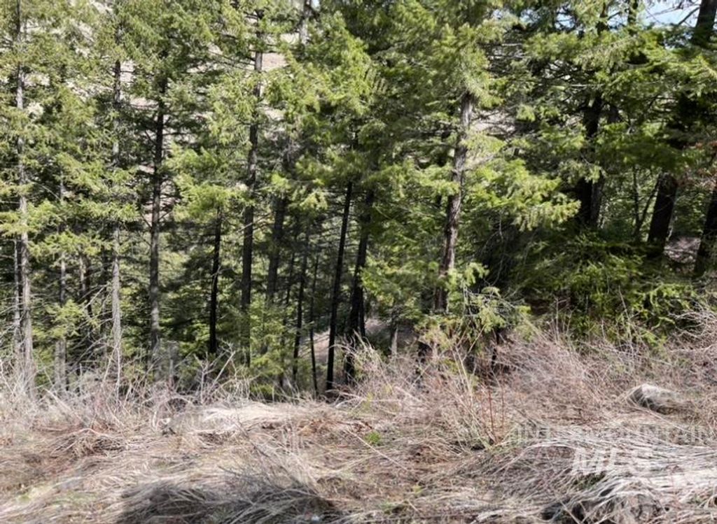 TBD State Highway 129, Anatone, WA 99401 photo 11