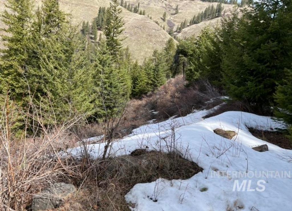 TBD State Highway 129, Anatone, WA 99401 photo 12