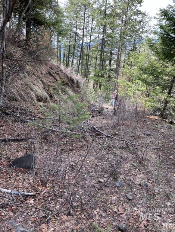 TBD State Highway 129, Anatone, WA 99401 photo 14