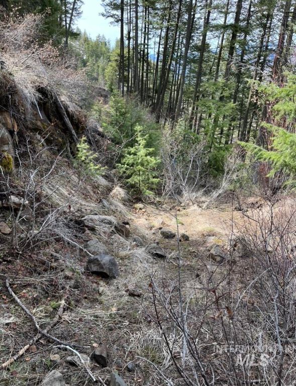 TBD State Highway 129, Anatone, WA 99401 photo 17