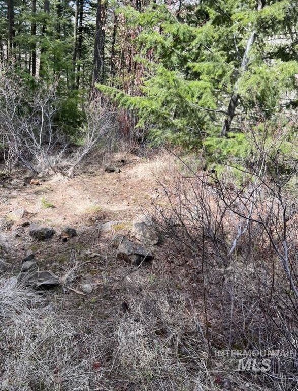 TBD State Highway 129, Anatone, WA 99401 photo 18